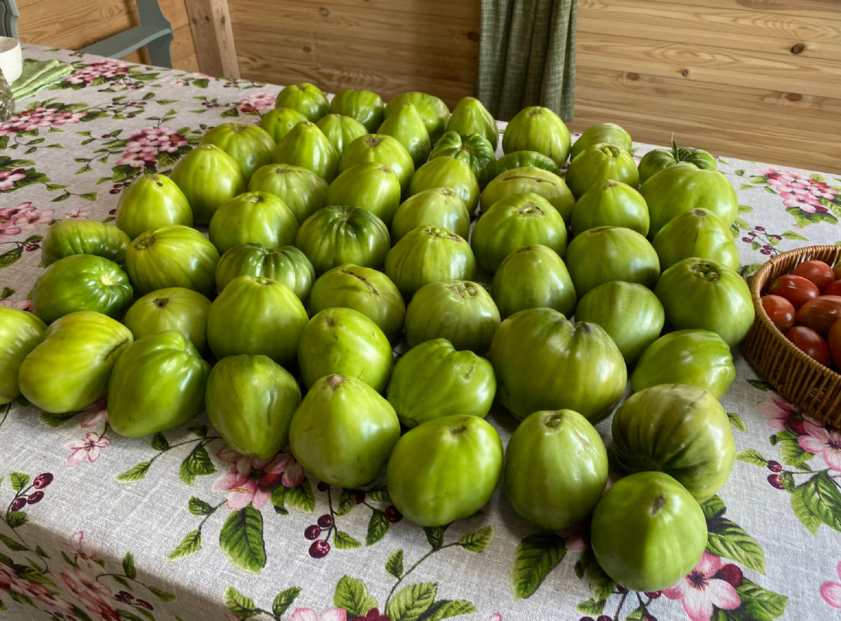 Здесь не только Минусинские, есть и другие сорта.