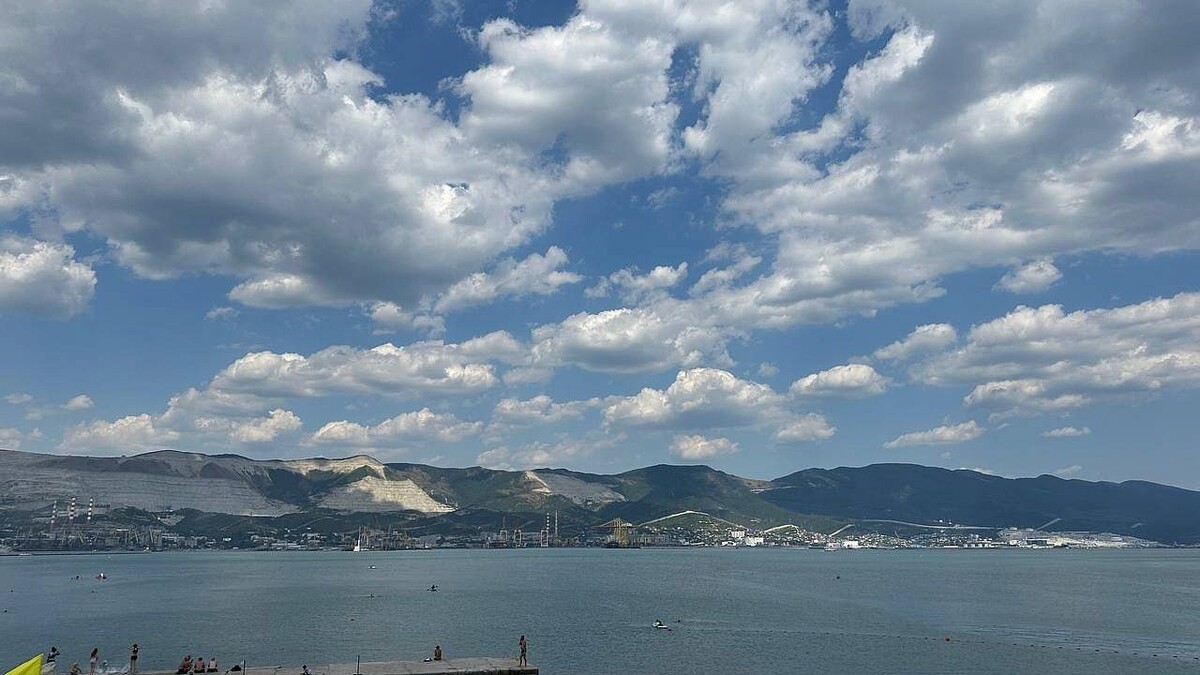    Фото: телеканал «Краснодар»