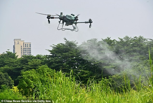 Беспилотник распыляет инсектицид, чтобы предотвратить распространение Чикунгуньи в Дунгуане, Гуандун