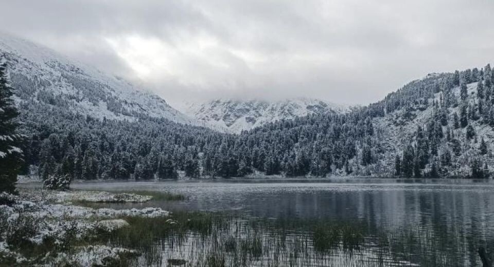    Заснеженные Каракольские озера в августе. Источник: Сообщество "Отдых в Горном Алтае/Каракольские озера" в соцсети "ВКонтакте"