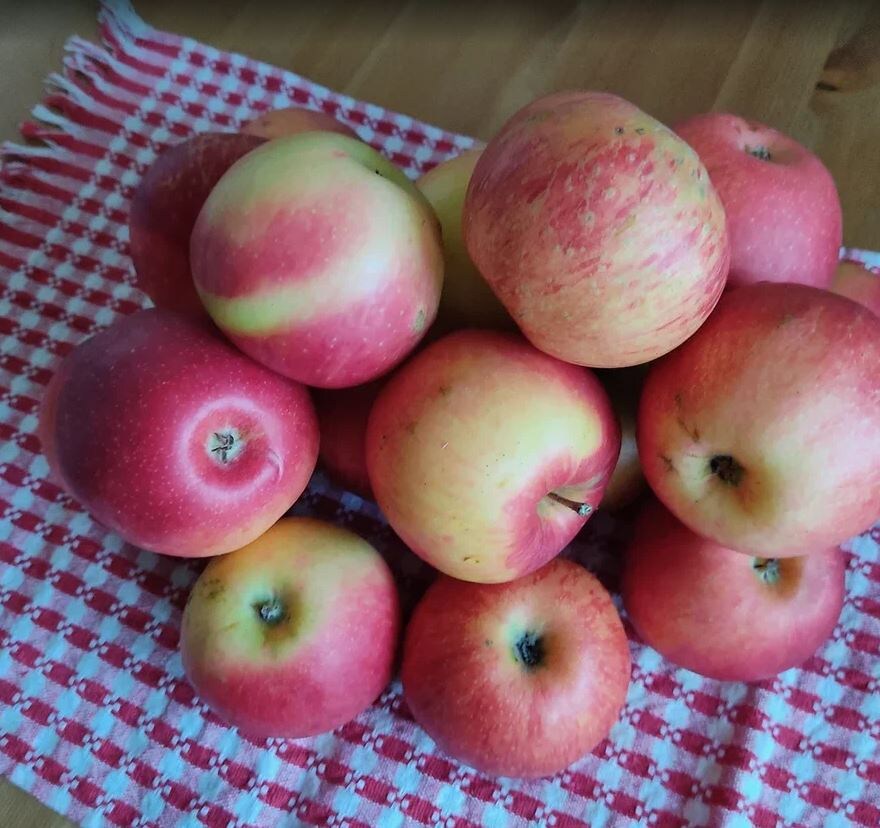 Антоновка десертная