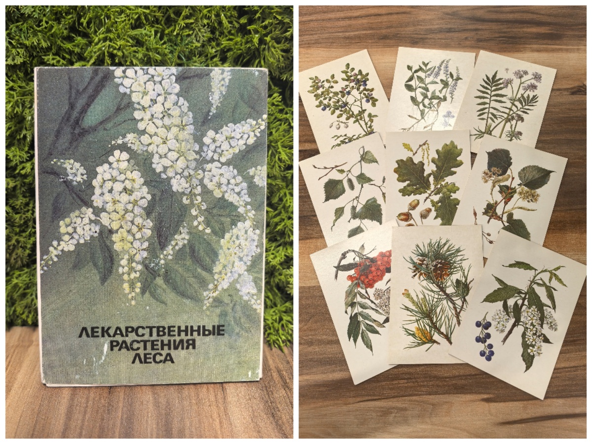 Открытки 1986 года.