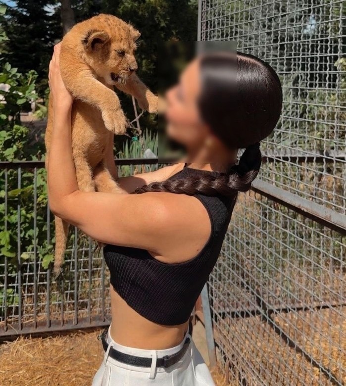 Запрещенная законом "фотозона" в  "Парке львов "Тайган"