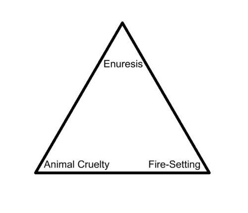 Триада Макдональда - в основе углов "зоосадизм", "пиромания" и "энурез"