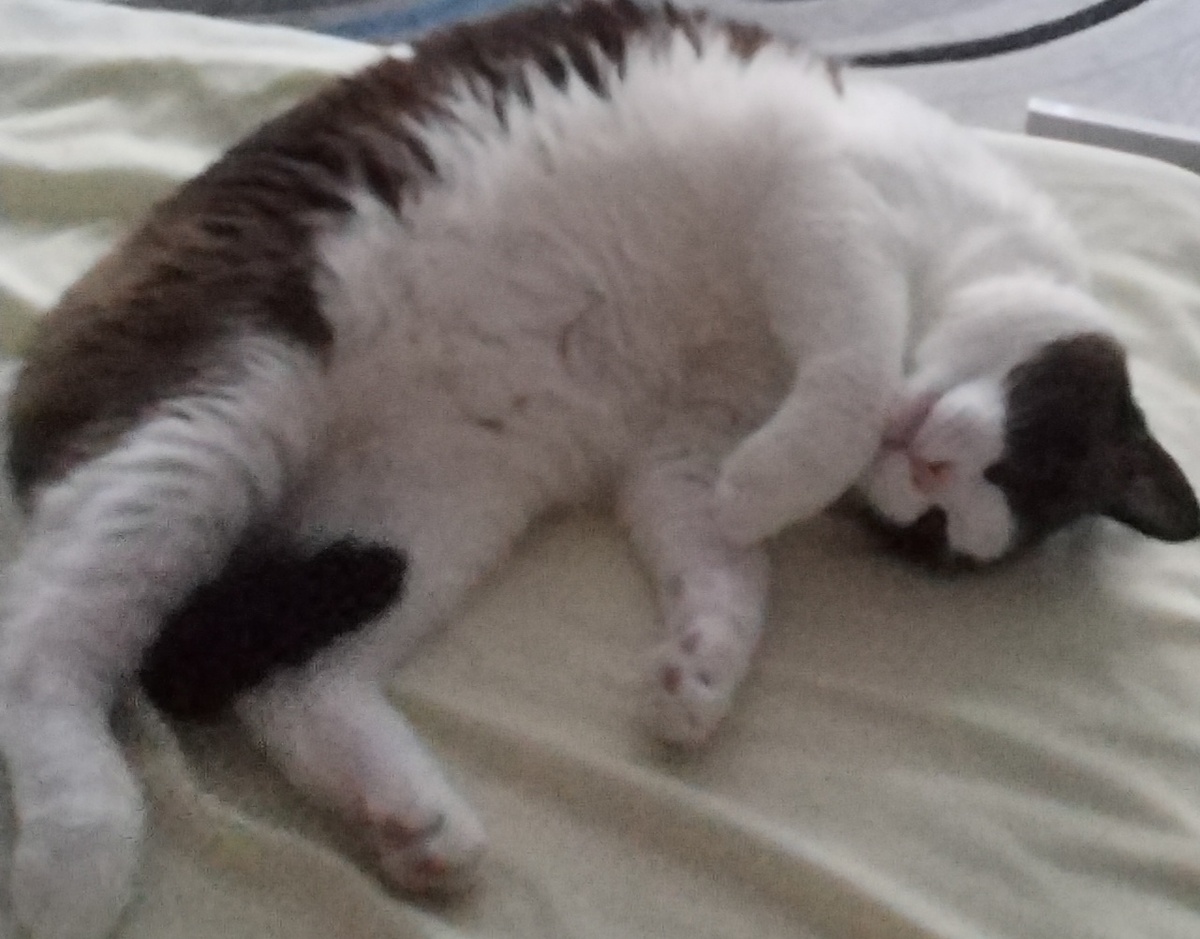 Фото автора 