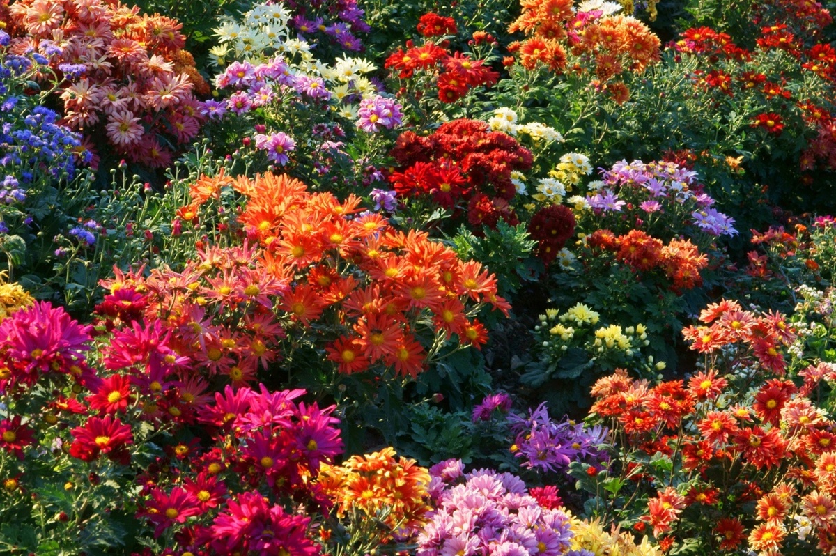 фото взято с яндекс картинки