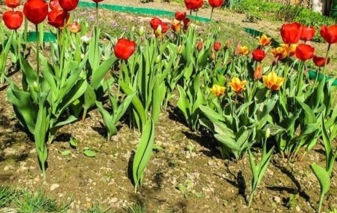 фото взято с яндекс картинки