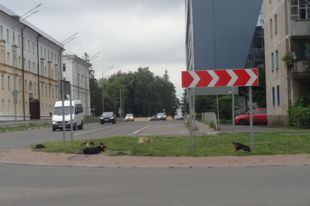 Охранники улиц.