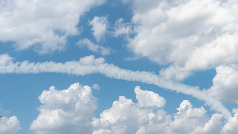 Фото: Олег Харсеев / Коммерсантъ