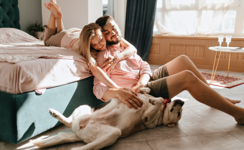 Фото: freepik.com/free-photo Автор: lookstudio