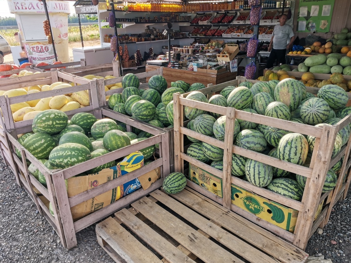    Фото из архива Progorod