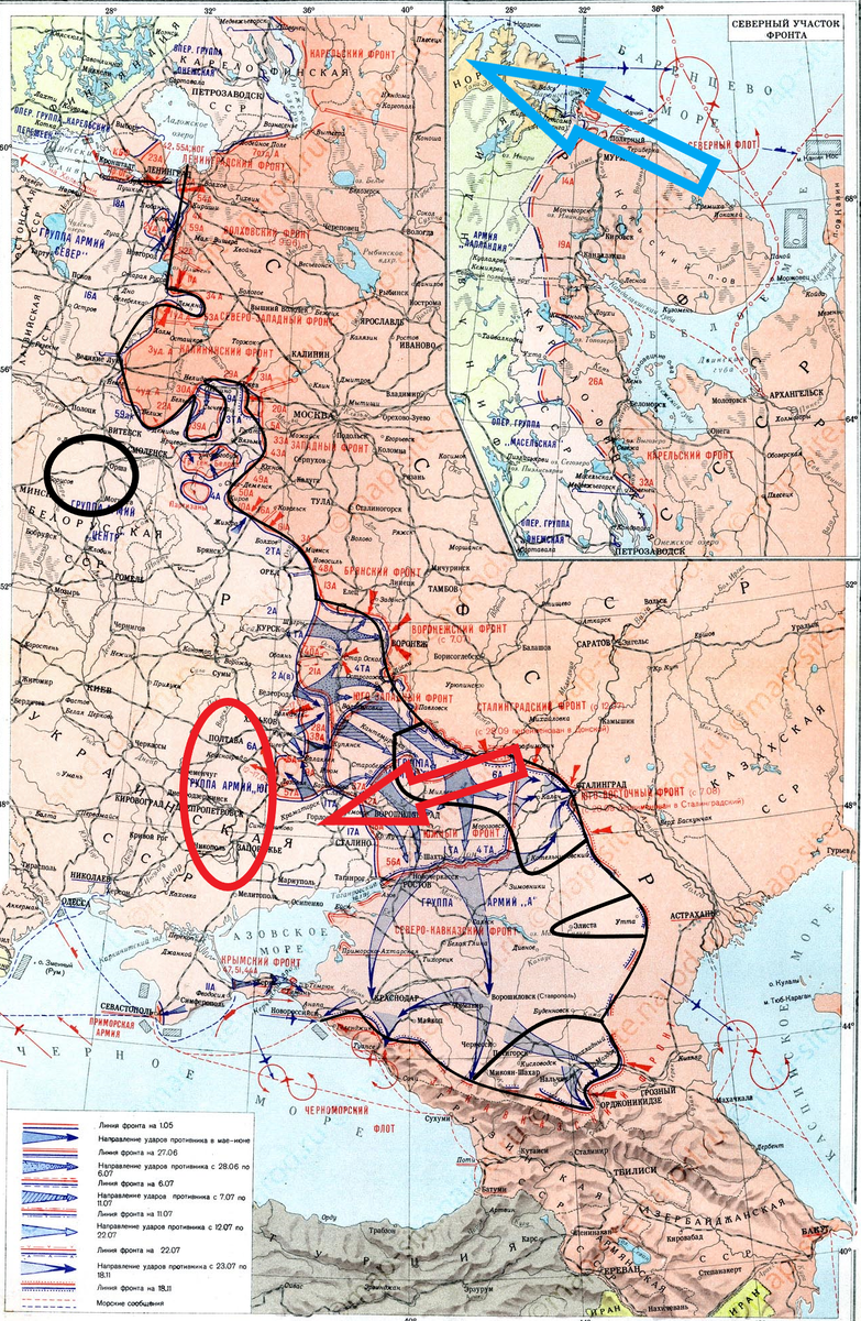 (Фото взято из открытых источников).