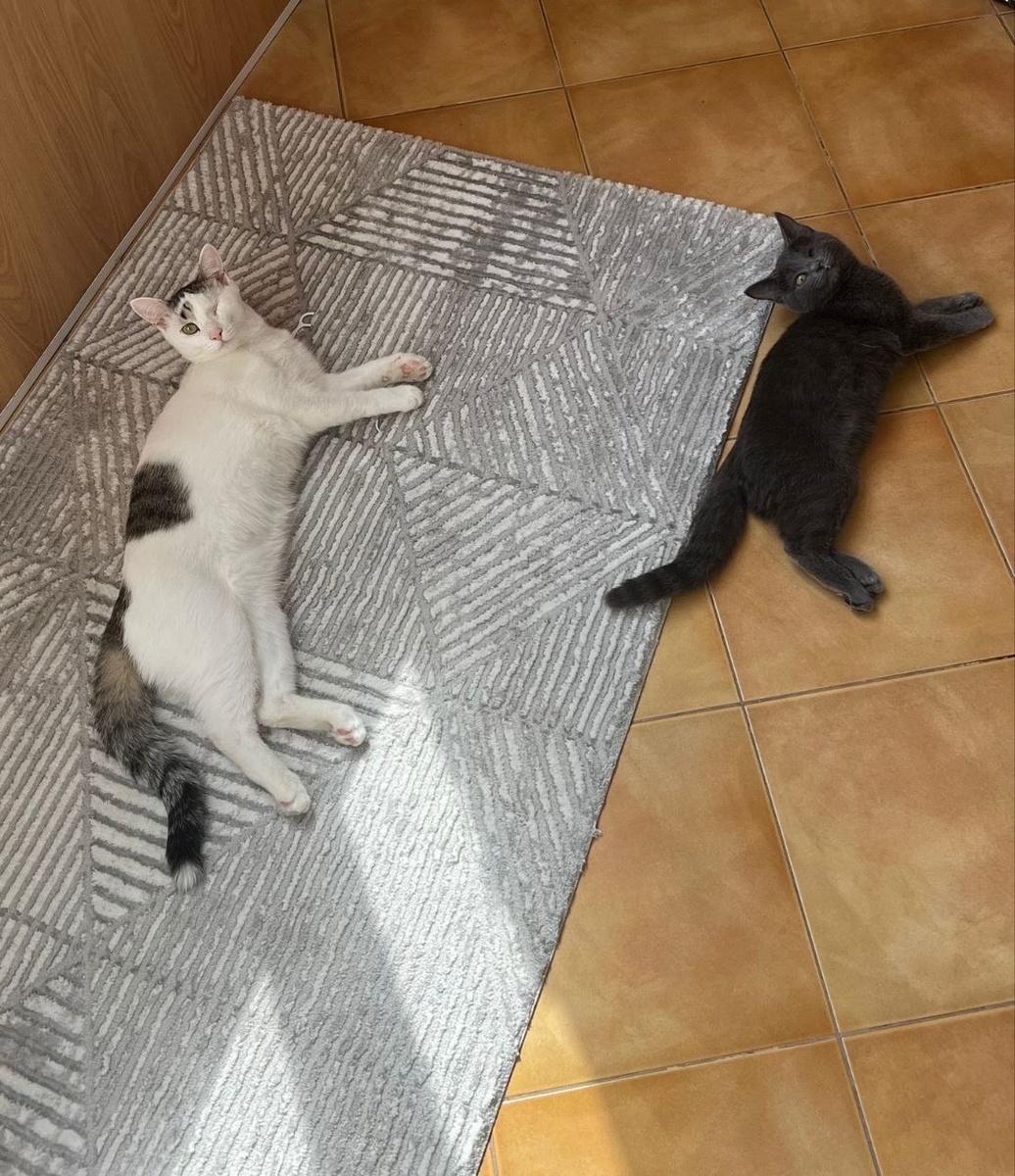 Любви хватило на двоих!