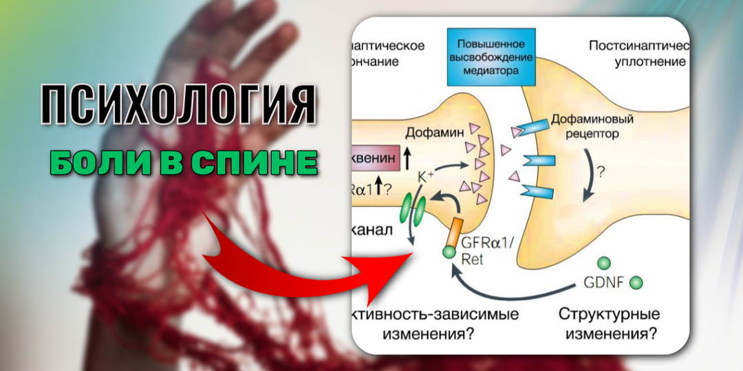 Боль в спине, психика, эмоции, где связь и что с этим делать?