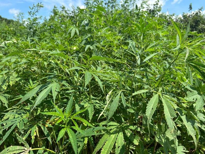    Источник фото: