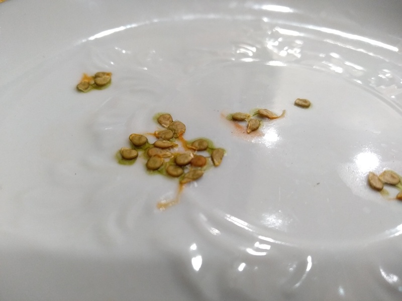 Семена томатов 