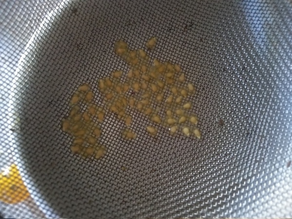 Промывание семян томатов «Жемчужина желтая» под струёй воды