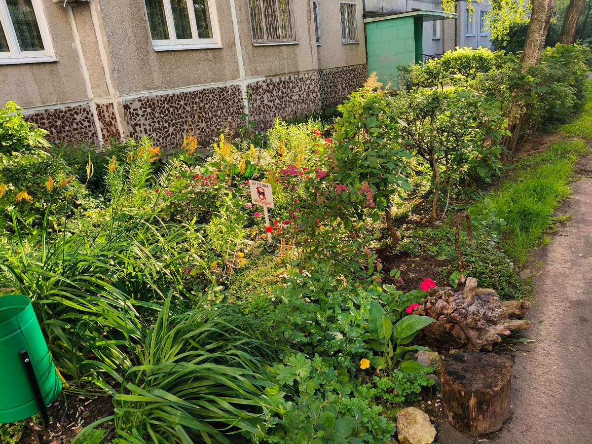 Рядом с соседним домом. 