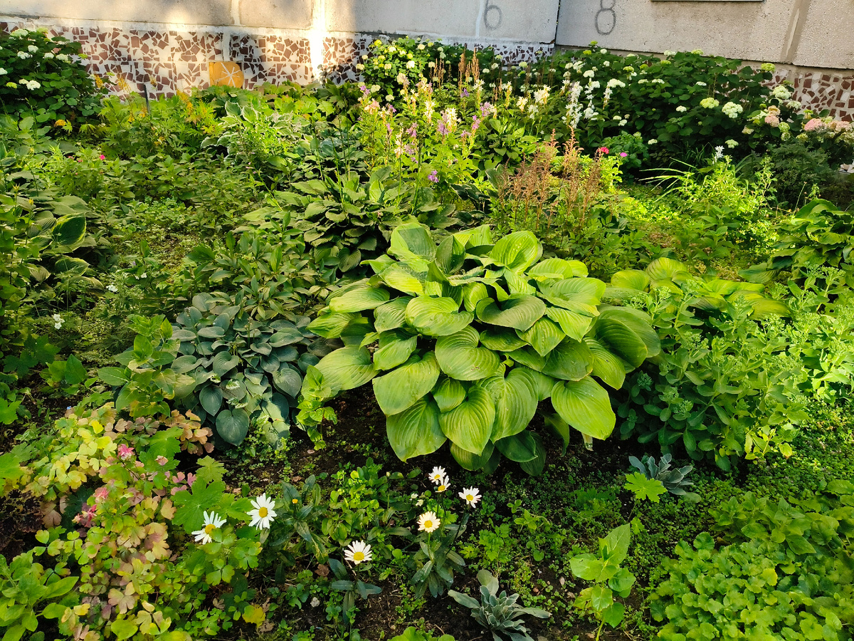 Рядом с моим домом. 