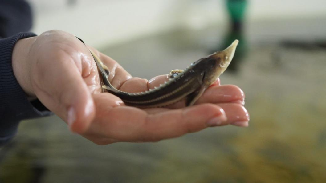 Фото: Инна Пахомова, ИА "Тюменская линия"