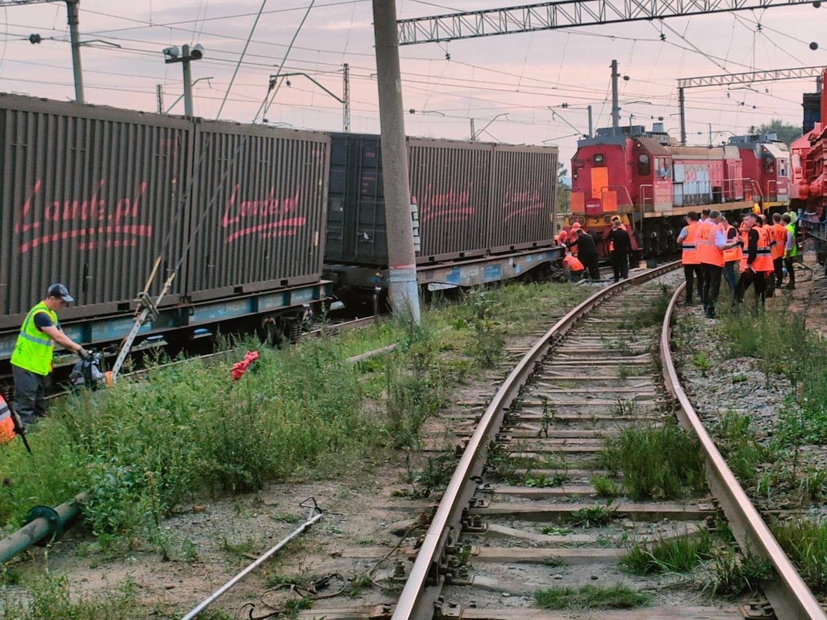 Фото: пресс-служба Центрального МСУТ СК России  📷
