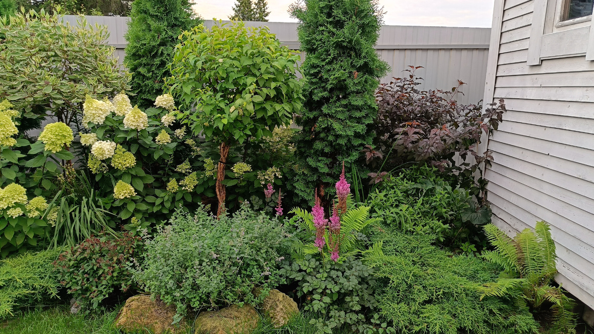 Сад автора, Миксбордер N1 (правая часть)