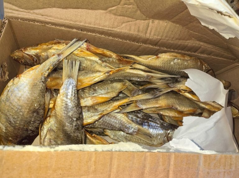    28 тонн леща и воблы не пустили из Казахстана в Оренбуржье Оренбуржье