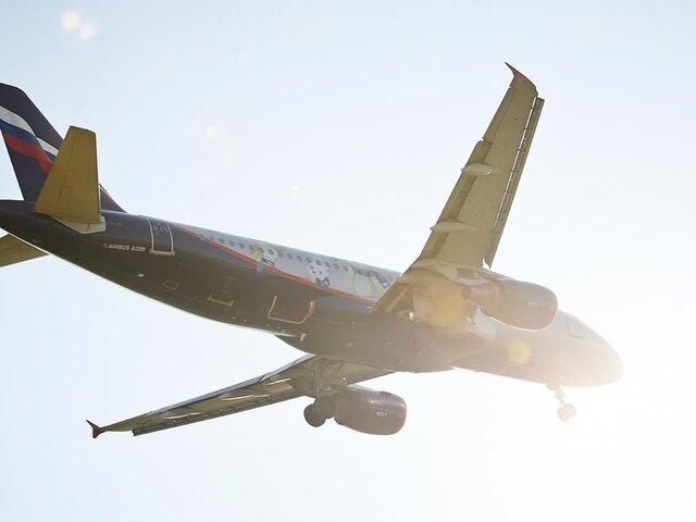    Фото: Москва 24/Александр Авилов