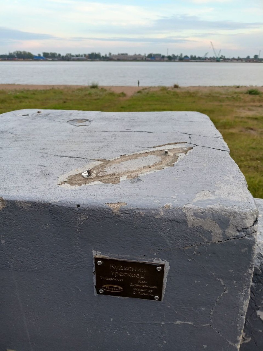 Фото автора. Вот тут и был Трескоед.