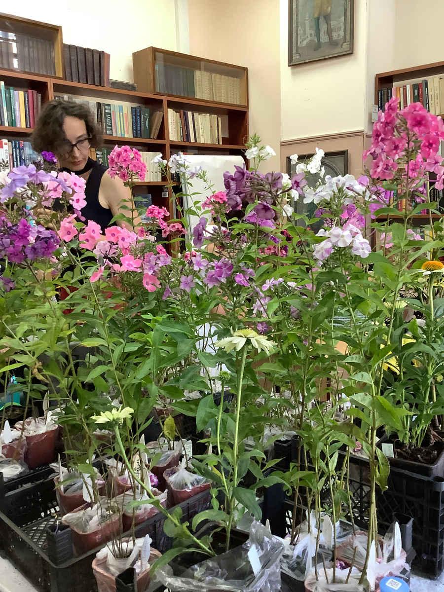 В этот раз был хороший ассортимент