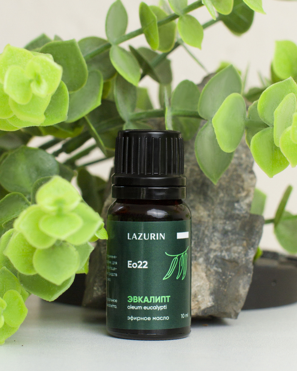 Натуральное эфирное масло эвкалипта от LAZURIN