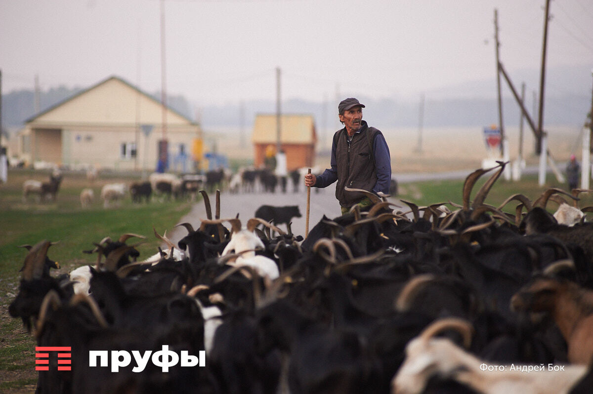    Фото: Пруфы.рф