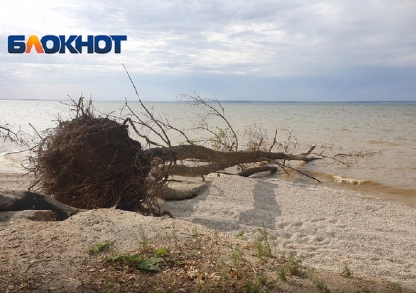 Весенние неутешительные прогнозы сбываются