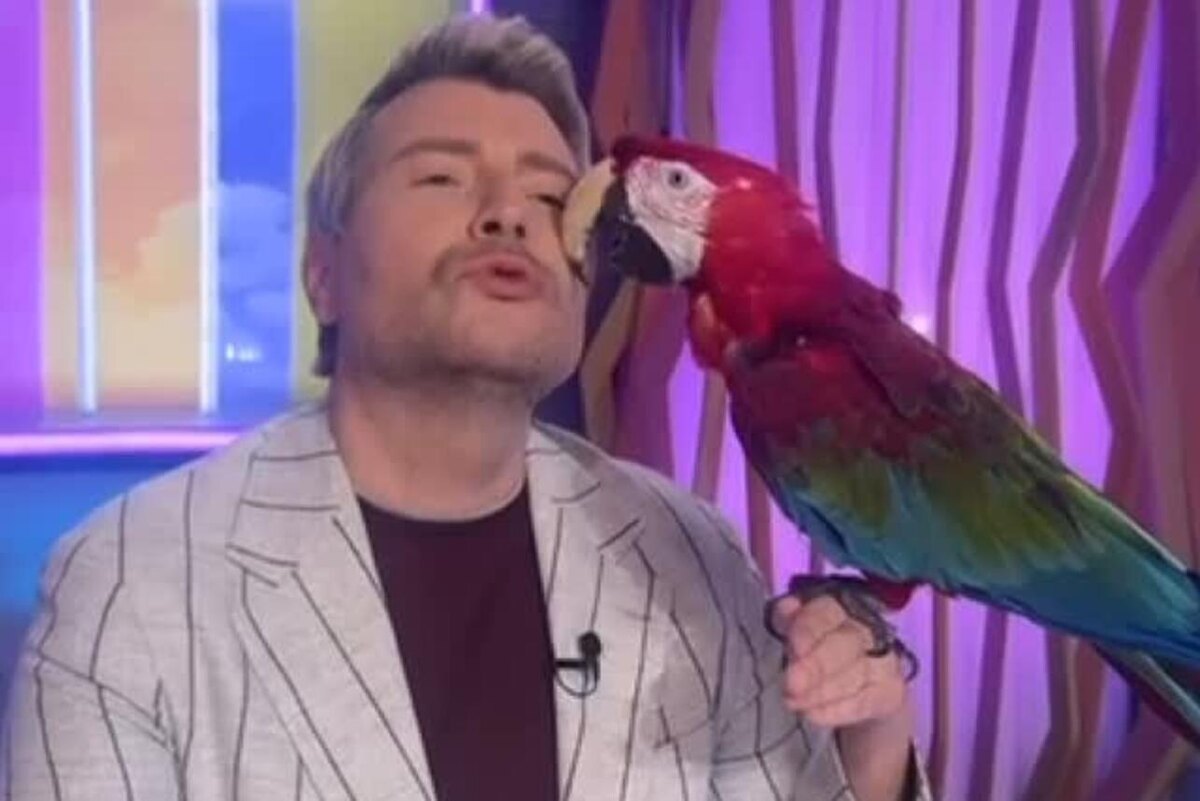    Николай Басков с попугаем Лизой Социальные сети