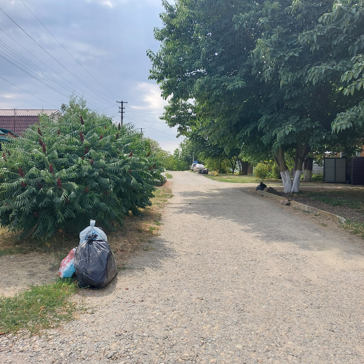 Мусор у дороги