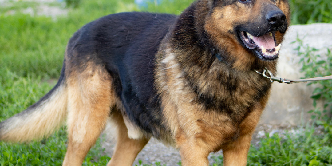 Храбрость, которой можно позавидовать, и боль, с которой не справиться в одиночку...