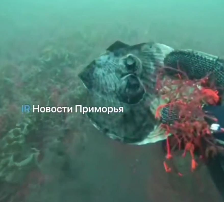    Источник фото: