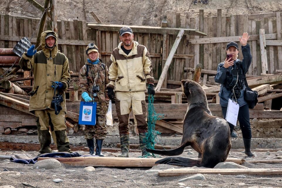    Группа помощи морским животным «Друзья океана»