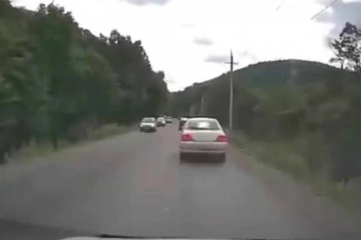    Пес некоторое время бежал за машиной, прежде чем его подобрали проявившие участие люди