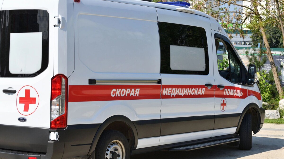    Фото: BestPhotoPlus/Shutterstock/Fotodom