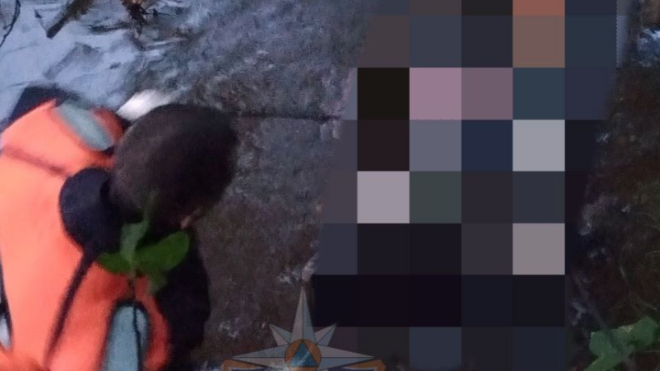 Фото: Аварийно-спасательная служба Ленинградской области