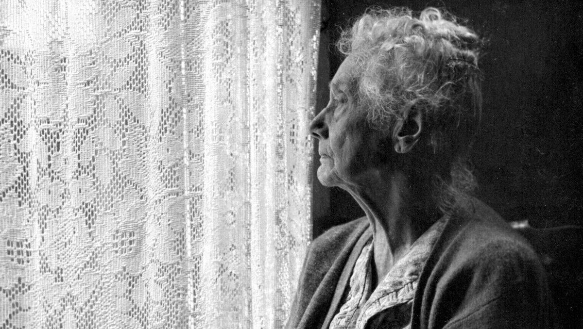 источник: algemeiner