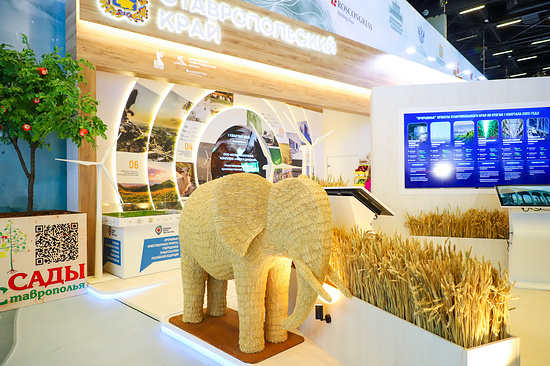 Фото: Данил Киселев/ТАСС