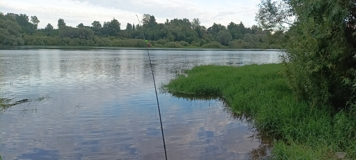 Река Волхов Новгородская область
