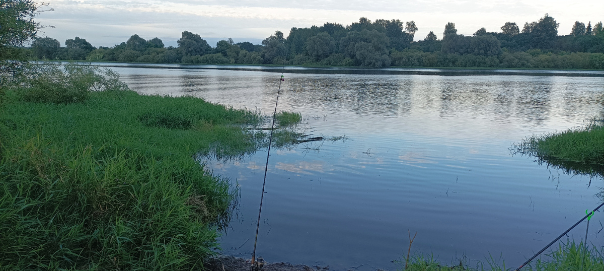 Река Волхов Новгородская область