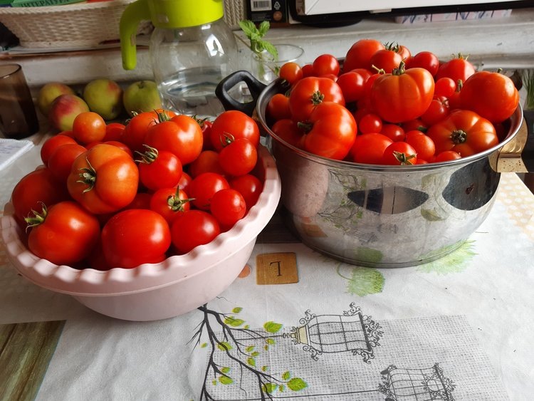    Фото: Лукьянов Дмитрий, AgroXXI.ru