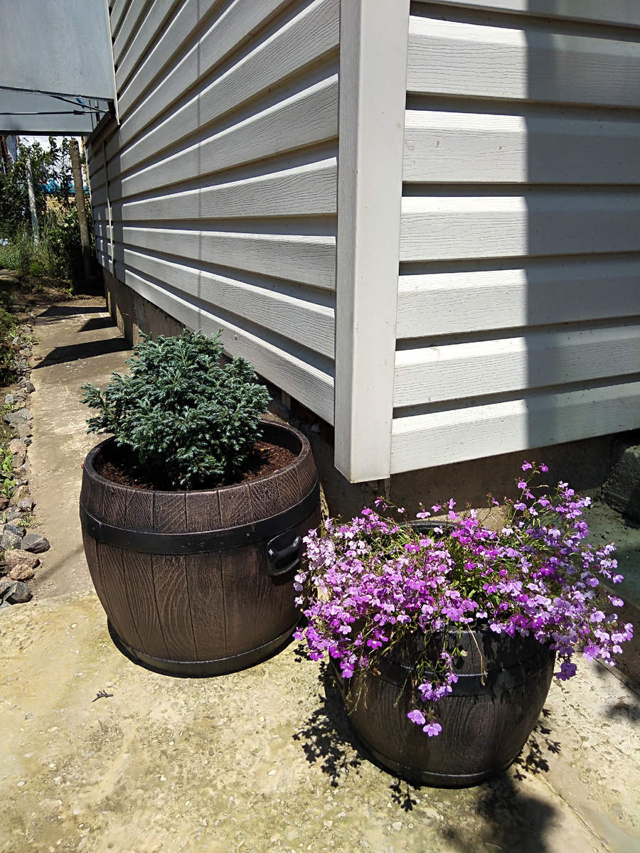 Май 2021 года. Буливард обживает новое жилище.