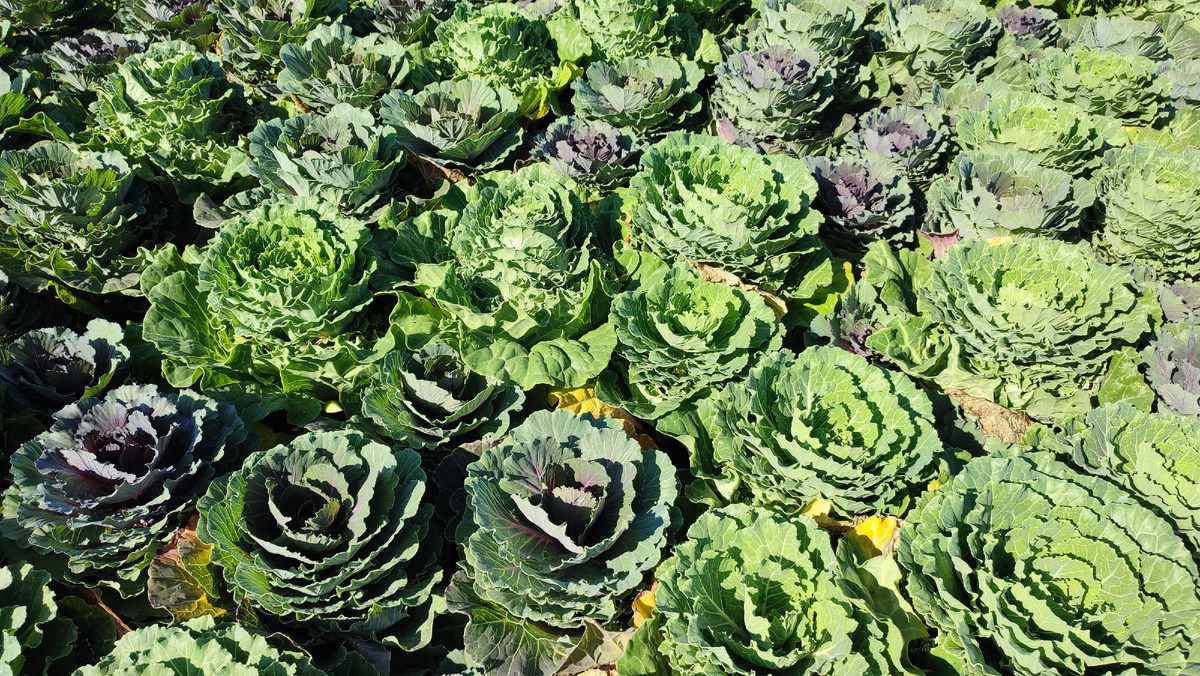 Прогулка по Москве