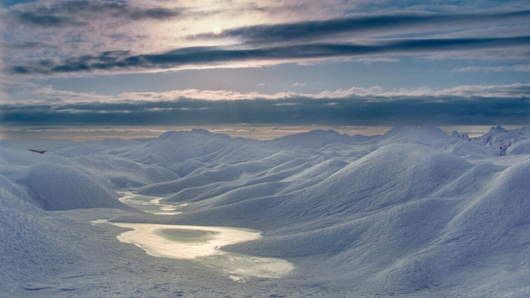    Фото: Sergey Metelitsa/Global Look Press