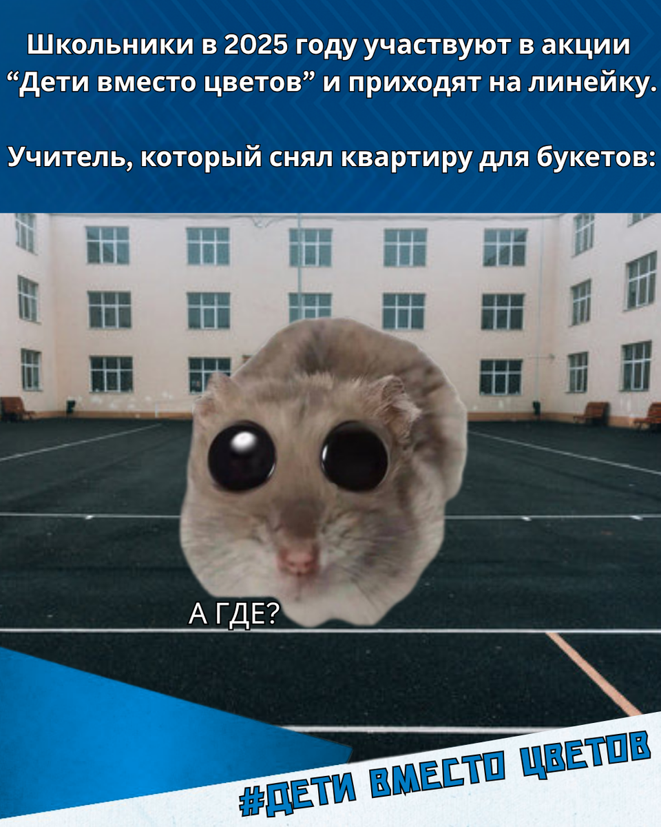 "Дети вместо цветов". Благотворительный фонд "Кораблик" рассказал об акции через жизненные ситуации.